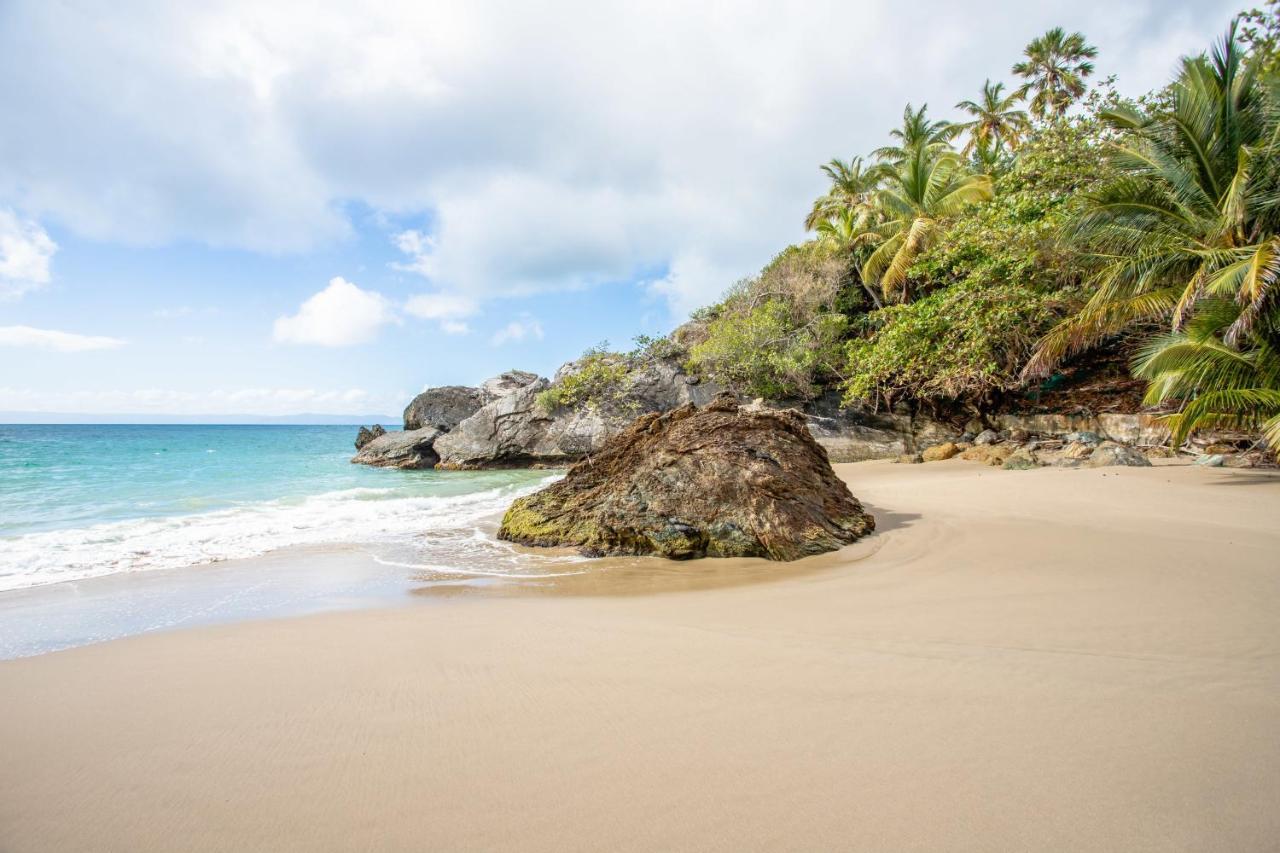 Apartamento En Vista Mare Samana Exteriér fotografie